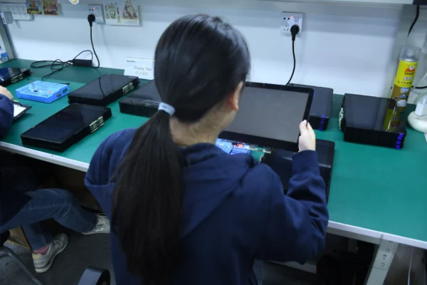 chromebook screen display test