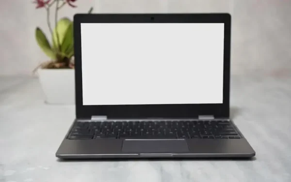 Chromebook White Screen