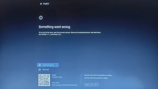 Chromebook Screen Frozen